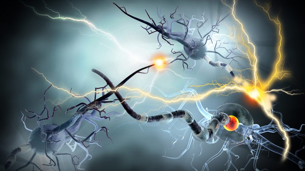 electrical surges from inside a human brain